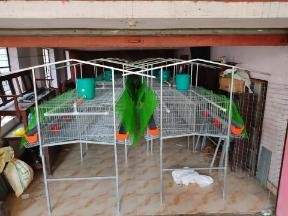 Multi-Tier Cage System